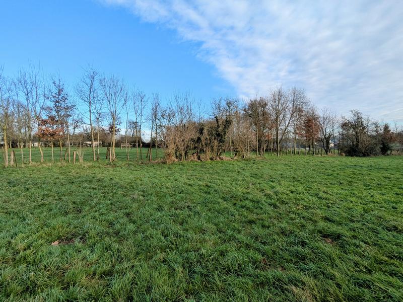 Terrain - 842 m²