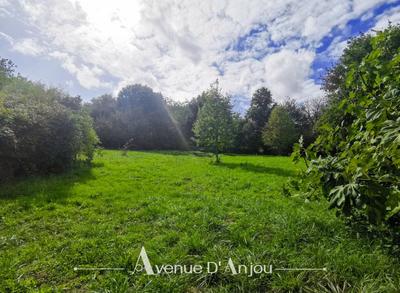 Maison ancienne - 187 m² - 6 pièces