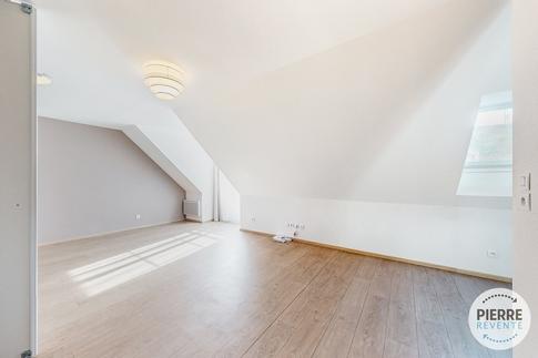 Studio - 30 m² - 1 pièce