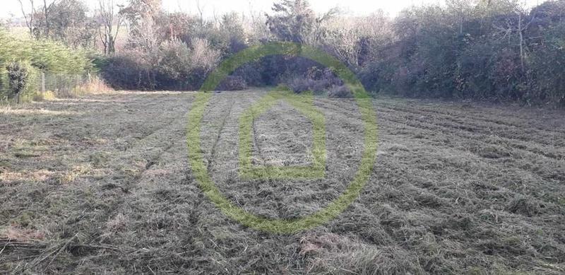 Terrain constructible - 4 900 m²