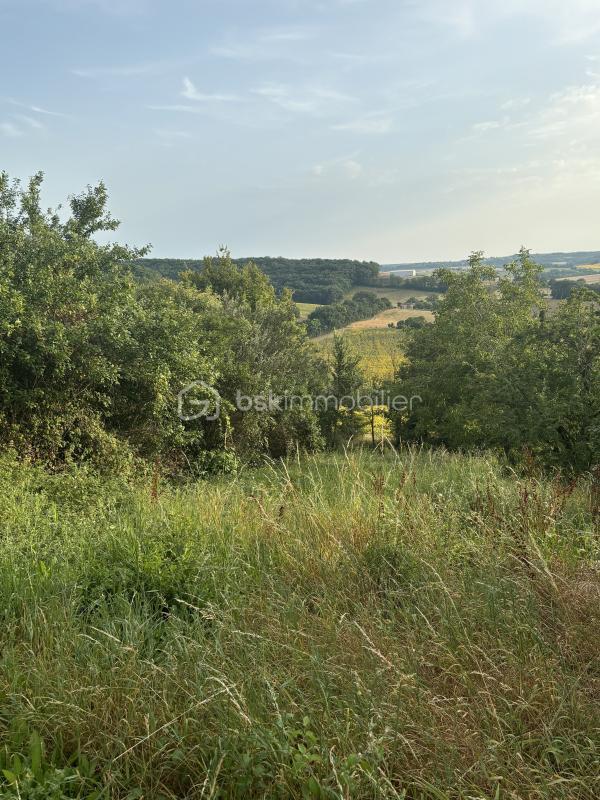 Terrain constructible - 1 013 m²