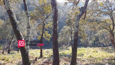 Terrain constructible - 3 000 m²