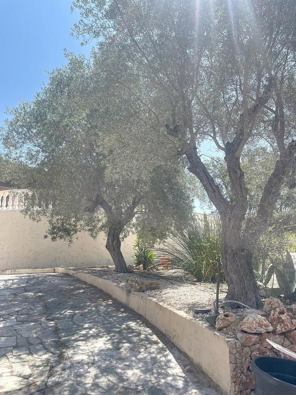 Maison - 175 m² - 6 pièces