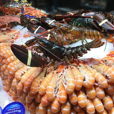 Poissonnerie de l'ile de Ré, Limoges