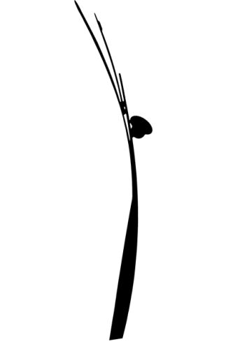 Cathy Sophro Bien-etre