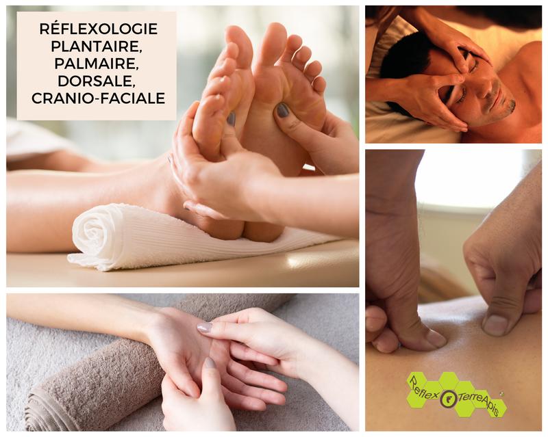 ReflexoTerreApis - Stéphanie Dompmartin