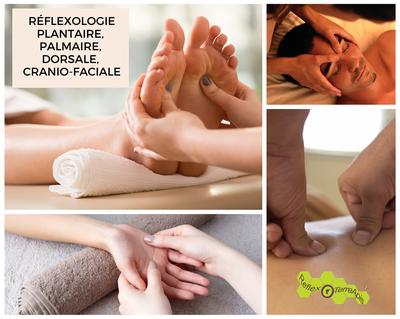 ReflexoTerreApis - Stéphanie Dompmartin