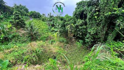 Terrain constructible - 2 583 m²