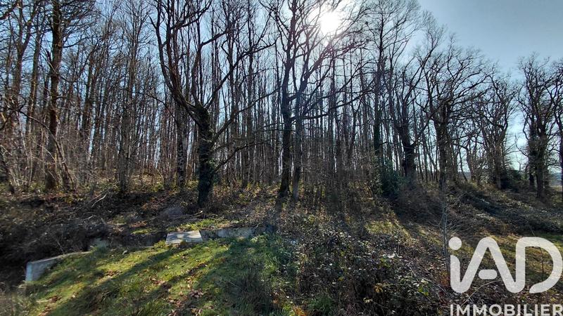 Terrain - 26 701 m²