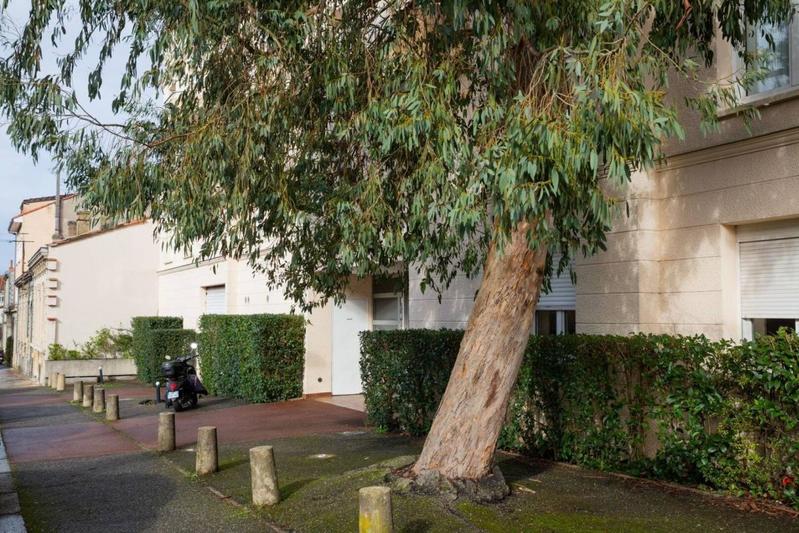 Studio - 19 m² - 1 pièce