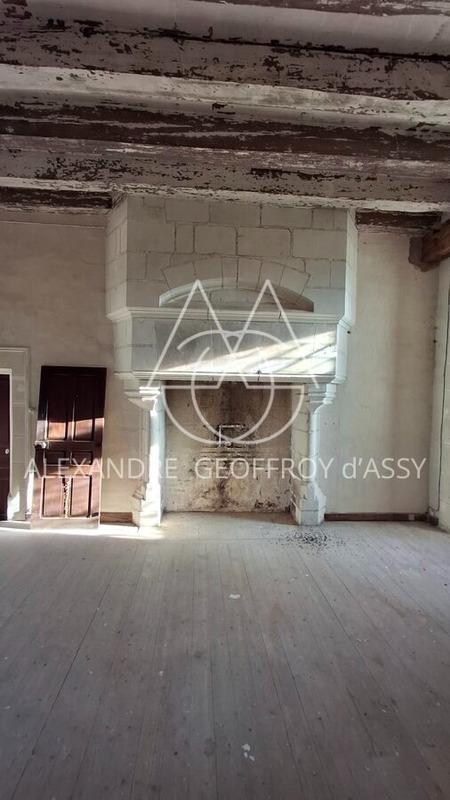 Château - 3 000 m² - 16 pièces