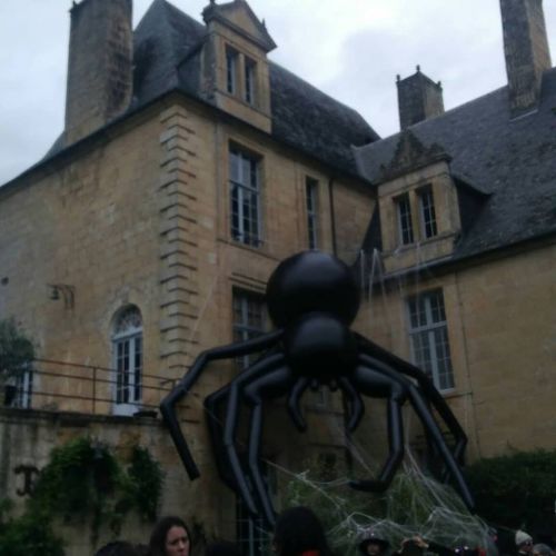 Château de Sauveboeuf