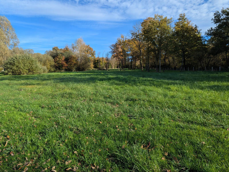 Terrain - 20 387 m²