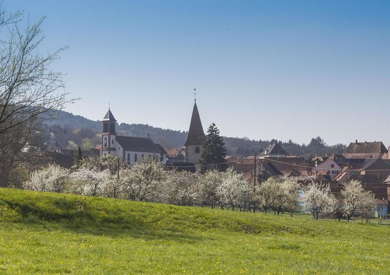 Chantier nature participatif