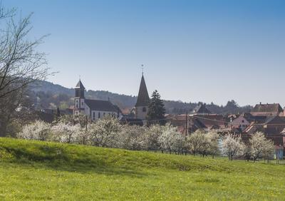 Chantier nature participatif