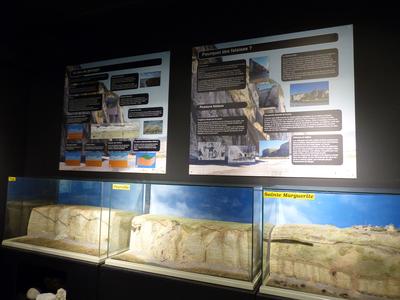 Mini-visite - Falaises et galets