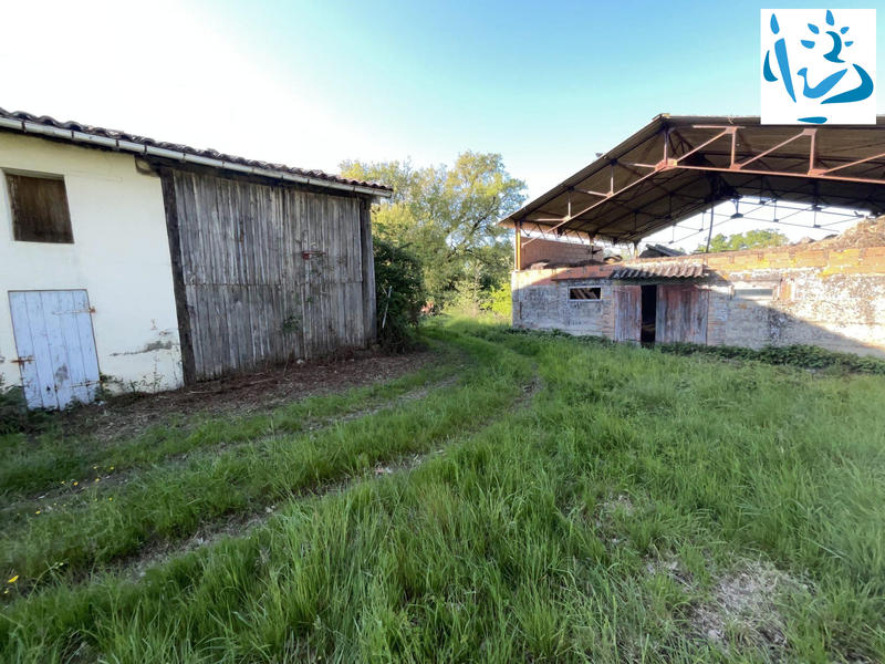 Ferme - 70 m² - 4 pièces