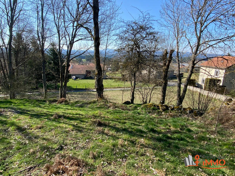 Terrain - 2 175 m²