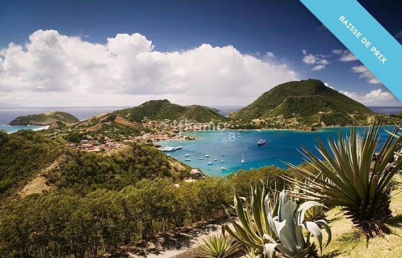 Hôtel particulier - 624 m² - 12 pièces