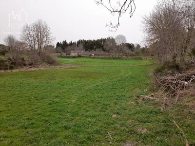 Terrain constructible - 1 460 m²