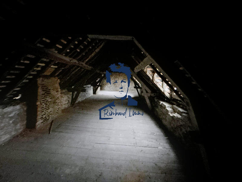 Appartement - 45 m² - 1 pièce