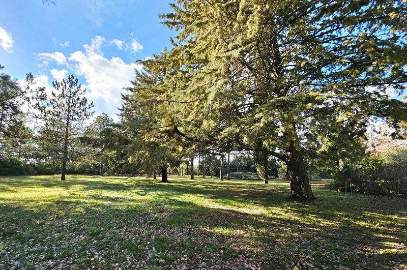 Maison - 205 m² - 6 pièces