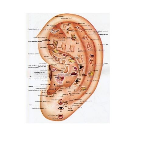 Tabesse Aurore Réflexologue