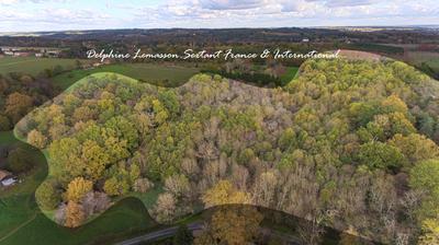 Terrain - 55 100 m²