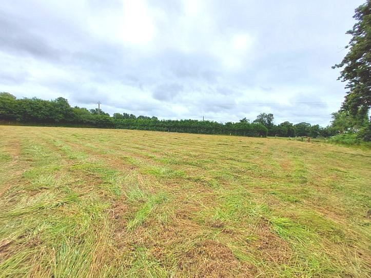 Terrain agricole - 6 509 m²