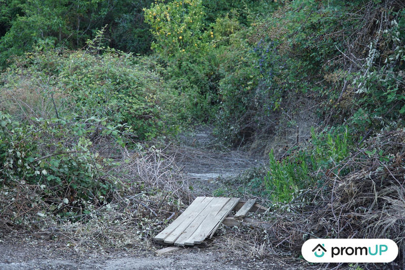 Terrain de loisirs - 1 195 m²