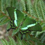 Le Jardin des Découvertes