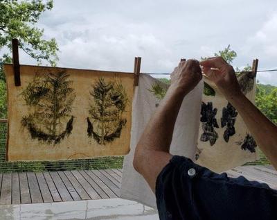 Ateliers &quot;matins nature&quot; en famille : &quot;Impressions végétales&quot; au Jardin Bourian