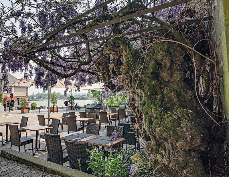 Hôtel particulier - 33 pièces