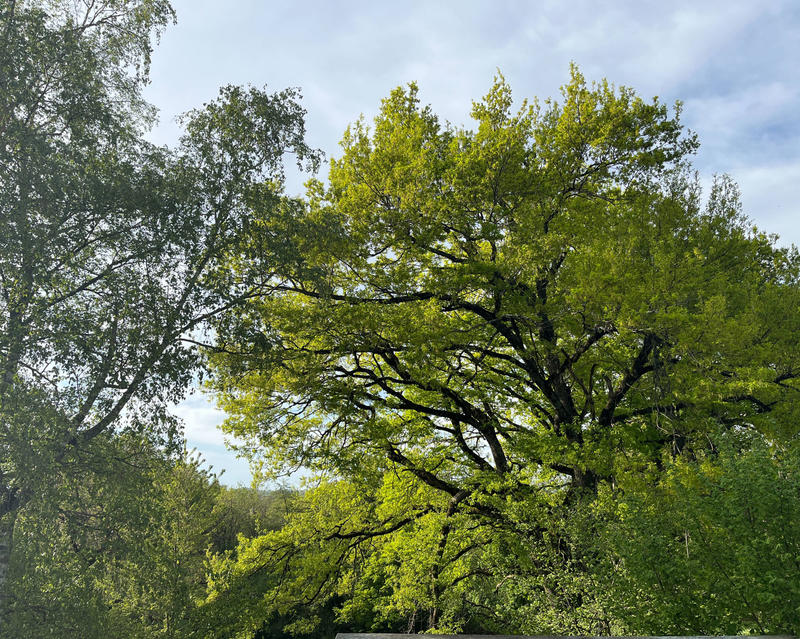 Maison - 70 m² - 5 pièces