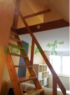 Studio - 18 m² - 1 pièce