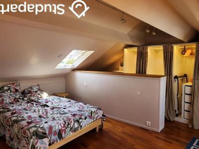 Chambre - 16 m² - 1 pièce