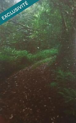 Terrain - 20 529 m²