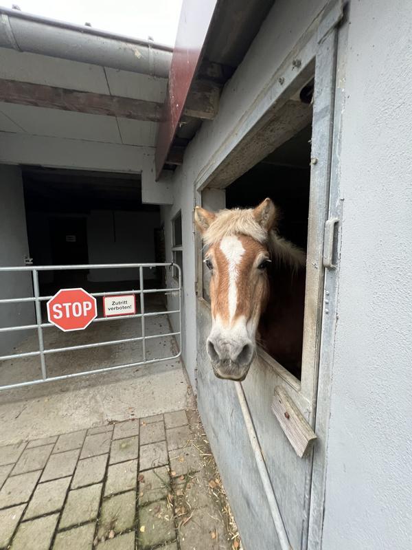 Local commercial - 450 000 m²