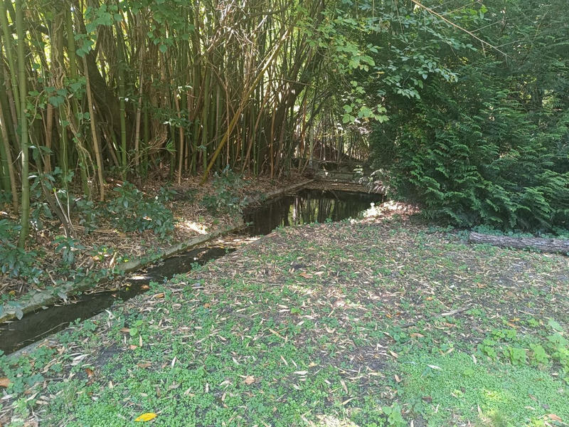 Maison ancienne - 250 m² - 7 pièces