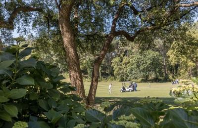 Appartement - 49 m² - 3 pièces