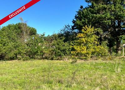 Terrain constructible - 1 574 m²