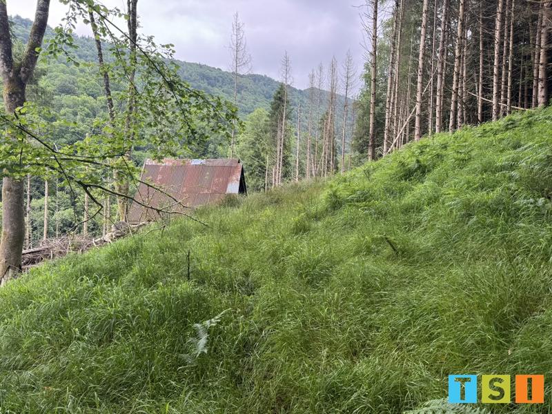 Maison - 25 m² - 1 pièce