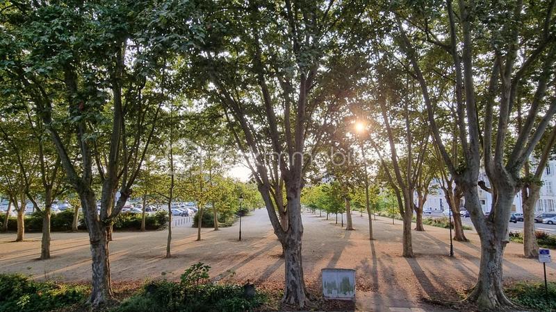 Studio - 16 m² - 1 pièce