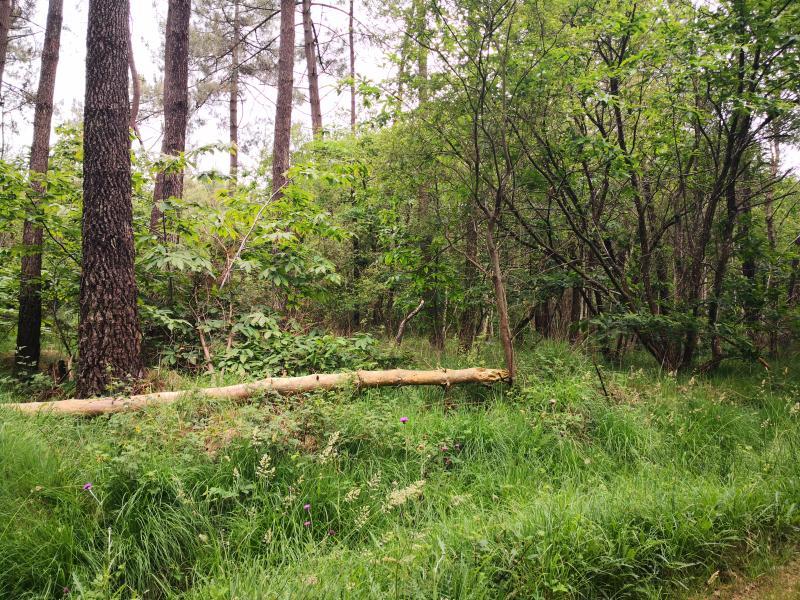 Terrain de loisirs - 3 450 m²