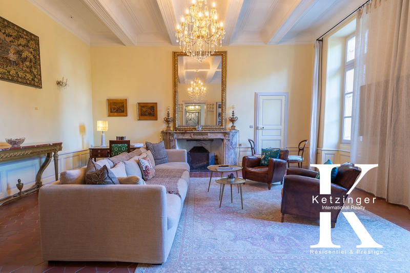 Château - 1 450 m² - 28 pièces