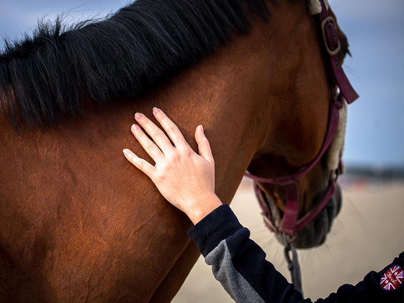 Week-end du Réformé des courses de galop