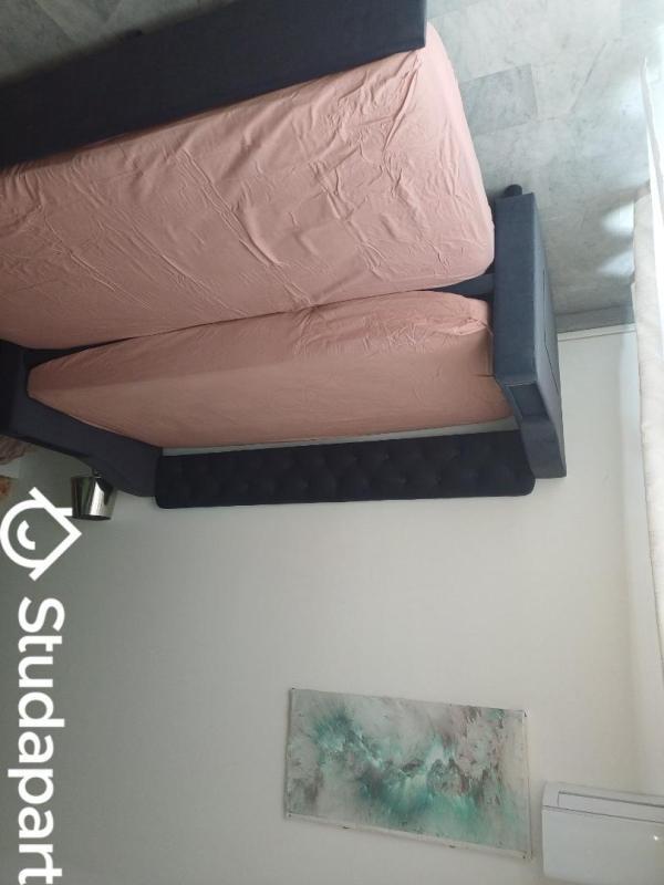 Appartement - 32 m² - 1 pièce