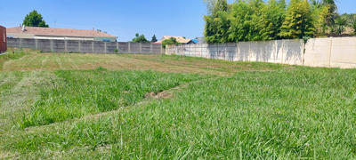 Terrain - 980 m²