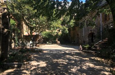 Château - 280 m² - 7 pièces