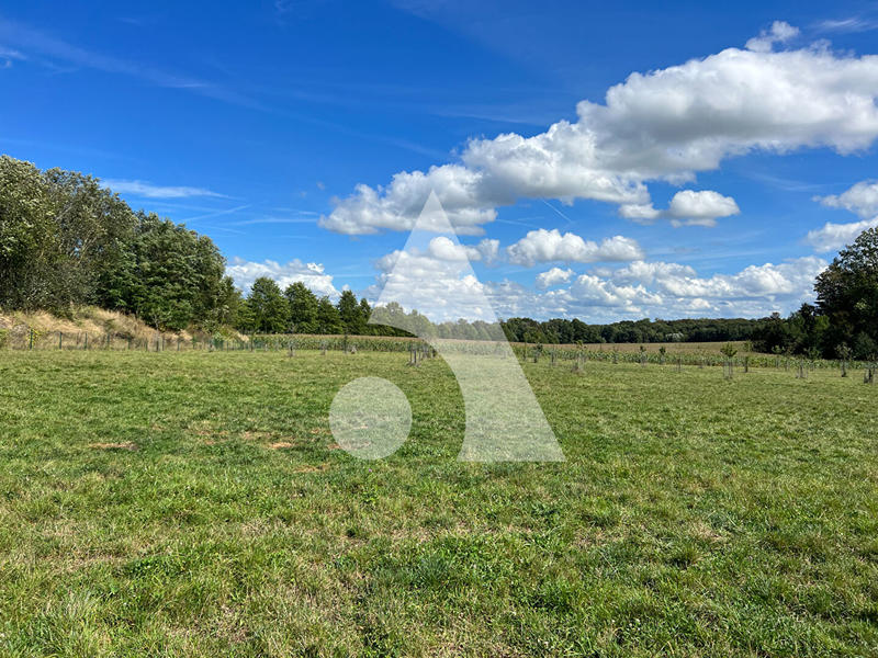 Terrain de loisirs - 17 741 m²